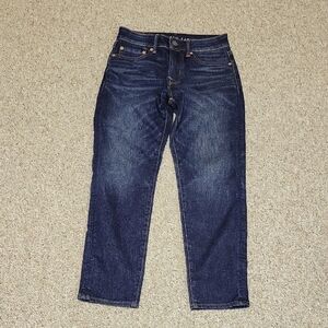 American Eagle Outfitters Dark Blue Straight Jeans men's Sz 26 X 28 NWT